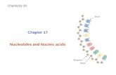 Chapter 17 Nucleotides and Nucleic acids Chemistry 20