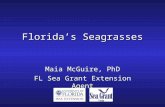 Florida’s Seagrasses Maia McGuire, PhD FL Sea Grant Extension Agent.