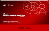 JBoss Developer Studio BIRT Plugin. BIRT - Business Intelligence and Reporting Tools. BIRT plugin for JBoss Developer Studio is an Eclipse-based open.