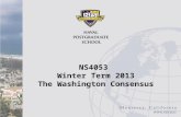 NS4053 Winter Term 2013 The Washington Consensus.