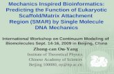 Mechanics Inspired Bioinformatics: Predicting the Function of Eukaryotic Scaffold/Matrix Attachment Region (SMAR) by Single Molecule DNA Mechanics International.
