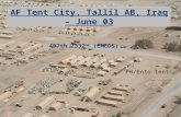 AF Tent City, Tallil AB, Iraq – June 03 407th /332 nd (EMEDS) PH/Ento tent.
