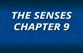 THE SENSES CHAPTER 9. Receptors and Sensations Five general types of receptors are recognized: 1. Chemoreceptors: Are sensitive to changes in chemical.