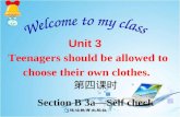 第四课时 Section B 3a—Self check Unit 3 Teenagers should be allowed to choose their own clothes.