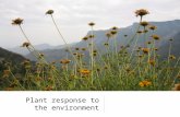 Plant response to the environment. Plants food source medicines biofuels .