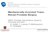 NA-MIC National Alliance for Medical Image Computing  Mechanically Assisted Trans- Rectal Prostate Biopsy DBP2: Prostate Interventions,