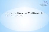 Module Code: CU0001NI Introduction to Multimedia.
