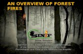 Jaime Senabre Director of SINIF Chairman of the Scientific-Professional Committee of the National Symposium on Forest Fires. Psychologist and Chief of.