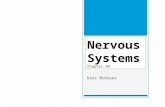 Kate McAteer. Organization of Nervous Systems 48.1  Invertebrate nervous systems range in complexity from nerve nets to brains and nerve cords  Vertebrates.