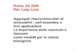 1 Roma, SS 2006 Pier Luigi Luisi Aggregati macromolecolari di tensioattivi ; self-assembly e loro applicazioni La importanza delle vescicole e liposomi.