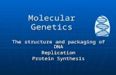 Molecular Genetics The structure and packaging of DNA Replication Protein Synthesis.