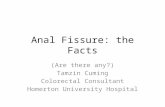 Anal Fissure: the Facts (Are there any?) Tamzin Cuming Colorectal Consultant Homerton University Hospital.