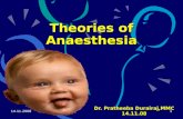 14.11.2008 1 Theories of Anaesthesia Dr. Pratheeba Durairaj,MMC 14.11.08.