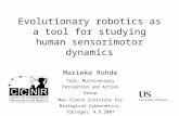 Evolutionary robotics as a tool for studying human sensorimotor dynamics Marieke Rohde Talk: Multisensory Perception and Action Group Max Planck Institute.