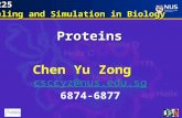 CZ5225 Modeling and Simulation in Biology Modeling and Simulation in Biology Proteins Chen Yu Zong csccyz@nus.edu.sg 6874-6877.