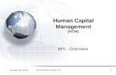 January 2007 (v1.0) The Rushmore Group, LLC1 Human Capital Management (HCM) BPI - Overview.
