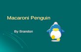 Macaroni Penguin By Brandon Bird They have feathers. They have feathers. They are warm blooded. They are warm blooded. They hatch from eggs. They hatch.