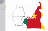 By: Jill Fleishinger. CountryGermanyCameroons LocationCenter EuropeWest Coast of Central Africa Time Period/ YearsOccurred from 1830- 1914 1884-1916 Rulers
