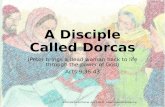 (Peter brings a dead woman back to life through the power of God) Acts 9:36-43 A Disciple Called Dorcas Acts 9:36-43  A Disciple.
