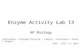 Enzyme Activity Lab 13 AP Biology (Peroxidase + Hydrogen Peroxide → Complex → Peroxidase + Water + Oxygen) 2H 2 O 2 → 2H 2 O + O 2 (gas)