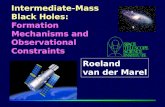 Roeland van der Marel Intermediate-Mass Black Holes: Formation Mechanisms and Observational Constraints.