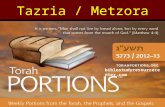 Tazria / Metzora biblestudyresourcecenter.com. Tazria / Metzora Leviticus 12:1 – 15:33 Haftarah: 2 Kings 7:3 – 20 Gospel: Mark 9:14-50 Luke 9:51 – 10:42.