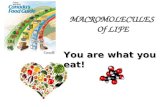 MACROMOLECULES Of LIFE You are what you eat!. Why Do We Eat?  For energy  For nutrients  For pleasure? NUTRIENTS: needed by all organisms for 1. __________.