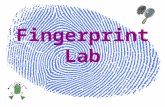 Fingerprints are an impression of the lines on the inner surface of the thumb and fingers. Patterns are made by tiny ridges on the skin. The ridges on.
