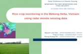 Rice crop monitoring in the Mekong Delta, Vietnam using radar remote sensing data Nguyen Lam-Dao – GIRS/HCMIRG/VAST, Vietnam Thuy Le-Toan – CESBIO/CNRS,