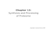 Chapter 13: Synthesis and Processing of Proteome Copyright © Garland Science 2007.