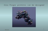 Nanorex 1 Zinc-finger proteins can be designed. Nanorex 2 A single-strand DNA molecule.