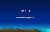 Ch.9.1 Active Biology Unit. Hydra Clips  ature=endscreen&NR=1&v=12Om szObAkM  ature=endscreen&NR=1&v=12Om.