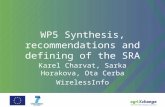 WP5 Synthesis, recommendations and defining of the SRA Karel Charvat, Sarka Horakova, Ota Cerba WirelessInfo