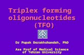 Triplex forming oligonucleotides (TFO) Dr Pupak Derakhshandeh, PhD Ass Prof of Medical Science of Tehran University.