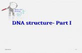 DNA structure- Part I 11/10/2015 2-1. Nucleotides and Nucleic Acids –Biological function of nucleotides and nucleic acids –Structures of common nucleotides