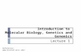 Introduction to Molecular Biology, Genetics and Genomics References:  Lecture 1.