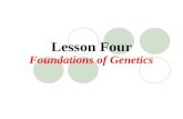 Lesson Four Foundations of Genetics. Throughout history, the inheritance of traits has fascinated humans. While awareness of inheritance has existed since.