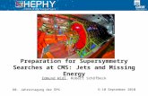6-10 September 2010 Edmund Widl, Robert Schöfbeck Preparation for Supersymmetry Searches at CMS: Jets and Missing Energy 60. Jahrestagung der ÖPG.