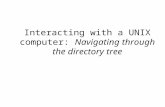Interacting with a UNIX computer: Navigating through the directory tree.