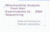 Mitochondrial Analysis From Hair Examinations to DNA Sequencing State of Connecticut Forensic Laboratory.