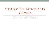 NTS 501 NT INTRO AND SURVEY Class II: Jesus and the Gospels.