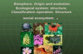 Biosphere. Origin and evolution. Ecological system: structure. Classification operation. Structure social ecosystem.. Biosphere. Origin and evolution.