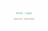 Bids cape SERVICE PROVIDER. Front Page Vendor Login.