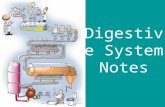 Digestive System Notes. Basic Outline 1. Movement: propels food through the digestive system 2. Secretion: release of digestive juices in response to.