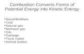 Combustion Converts Forms of Potential Energy into Kinetic Energy Wood/BioMass Coal Natural gas Methane gas Oils Garbage Fecal matter Animal bodies.