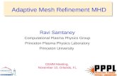 Adaptive Mesh Refinement MHD Ravi Samtaney Computational Plasma Physics Group Princeton Plasma Physics Laboratory Princeton University CEMM Meeting, November.