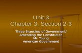 Unit 3 Chapter 3, Section 2-3 Three Branches of Government/ Amending the Constitution Mr. Young American Government.