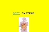 BODYBODY SYSTEMS. NervousNervous System Major Organs: Brain, spinal cord, nerves, sense organs, receptors Function: Controls and coordinates body movements.