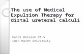 The use of Medical Expulsion Therapy for distal ureteral calculi Heidi Roloson PA-S Lock Haven University