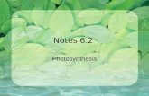 Notes 6.2 Photosynthesis. Standards CLE 3210.3.3 Investigate the relationship between the processes of photosynthesis and cellular respiration. SPI 3210.3.3.